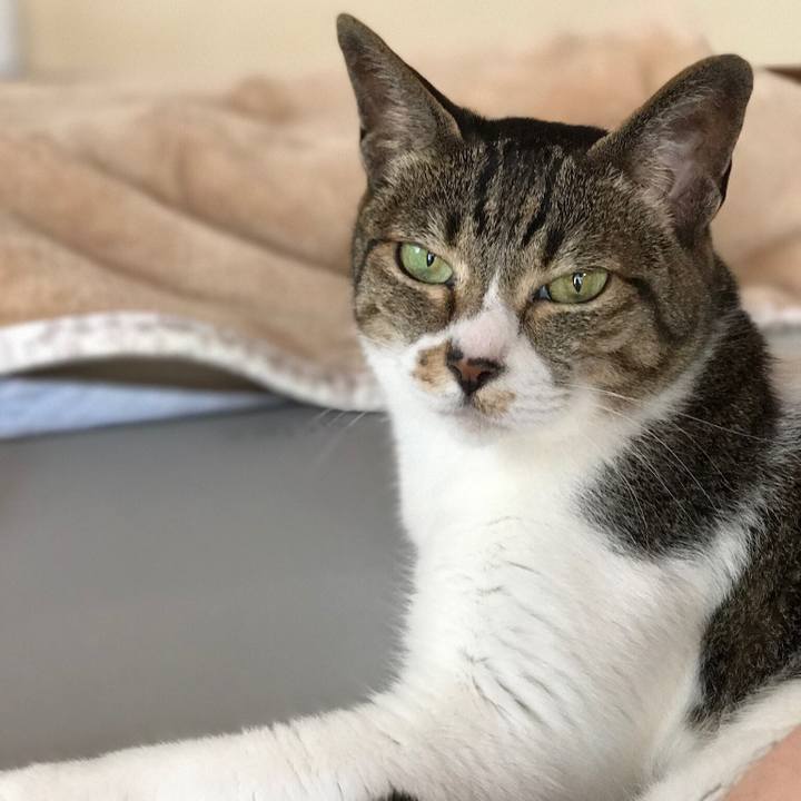 9f737918 392b 4cbe 8196 8bb6f5af489e