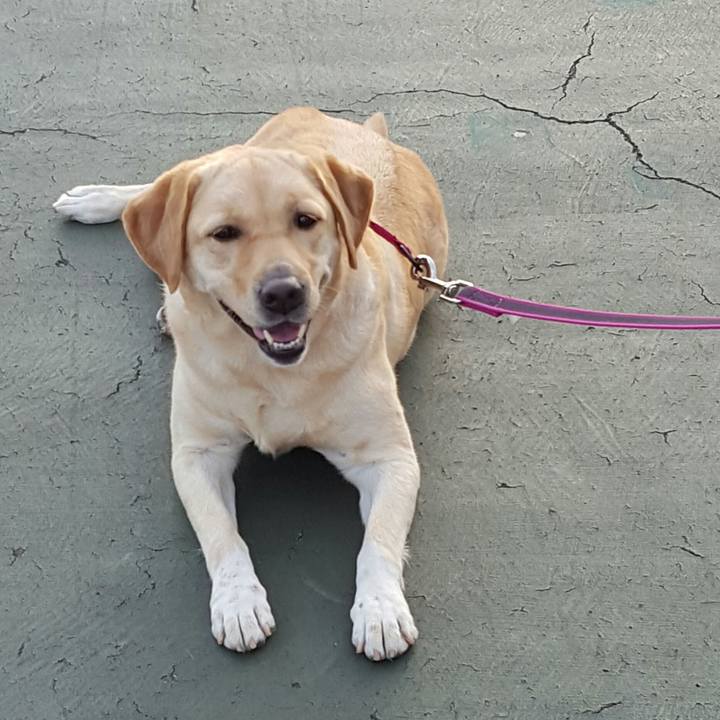 9f73857a 28f6 4db5 aa07 b3561e5e2539