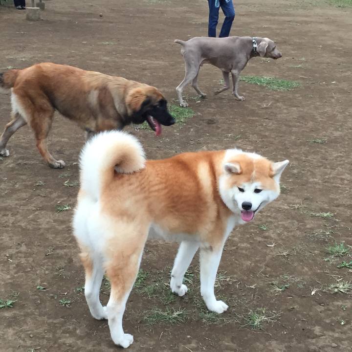 9f73bdb6 0052 4b73 a63c 277a1e8b0741