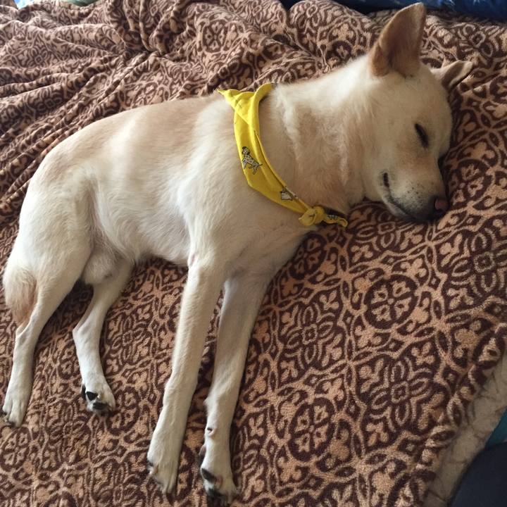 9f73c0f4 6354 4fc8 a2d5 31158c503d41