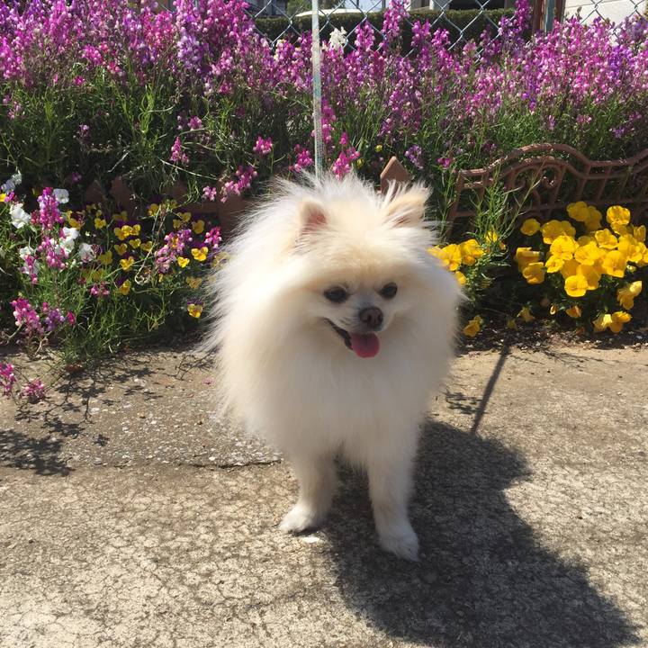 9f7466cb 691d 4c36 a98f 52babbca6ac9