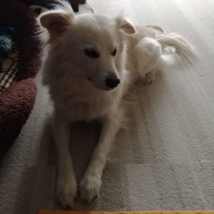 9f754491 d9b3 4016 a9f1 bb1043207969