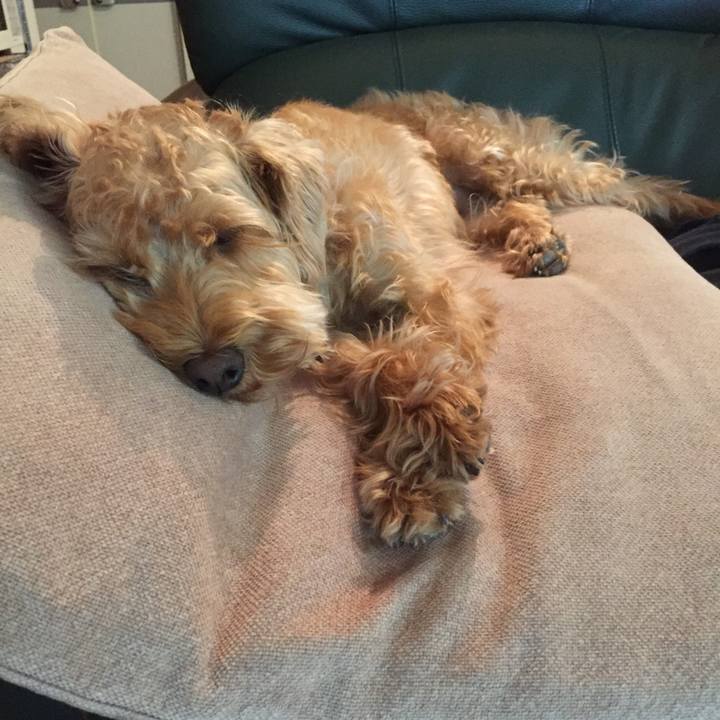 9f75520f 3d9a 4e18 8afb 92baf0aa8c6f