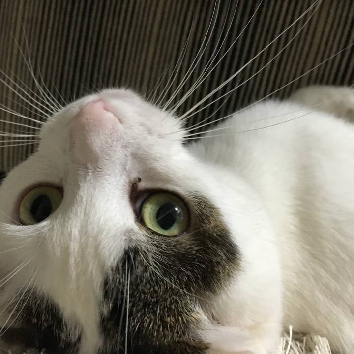 9f756b2b 67e7 454e a269 7c4ef96e2086