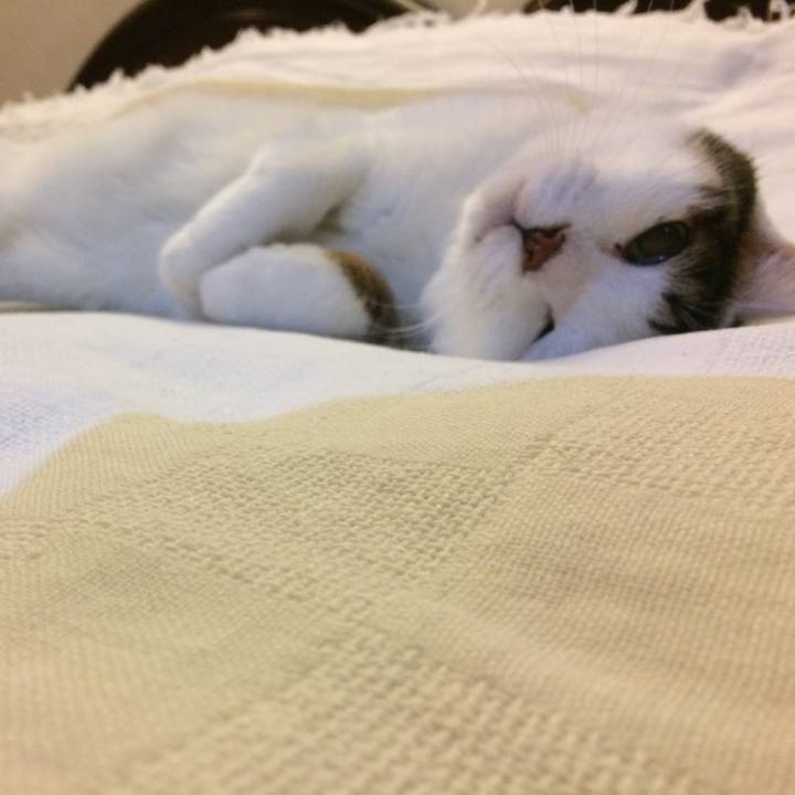 9f758191 2279 4780 a2eb 7ace82099134