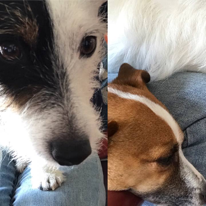 9f75a2ba 279b 4548 a60a c2e37c572005