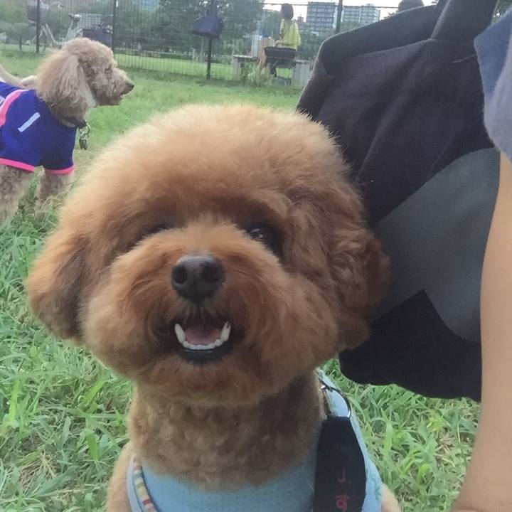 9f75dd6c d997 4500 bd5e 8216fa5acb20