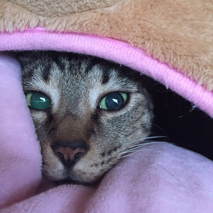 9f76c6aa 3ef5 45cd 8fba ad06f212b2d3