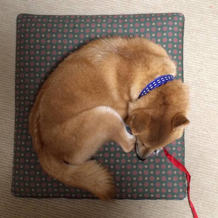 9f77c75a 76eb 4ad9 8b19 9925ac917d31