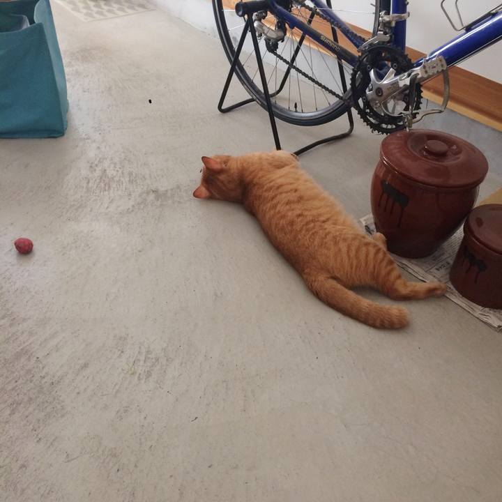 9f77cfef 548f 411c 9506 69b16d34788f