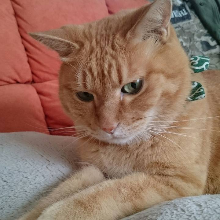 9f7885b6 4b8e 47ee 94dc 2e15d366e07e