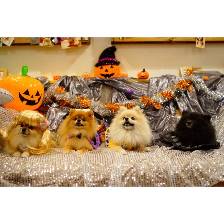 9f792cd7 34fd 472f b330 2c81557804d0