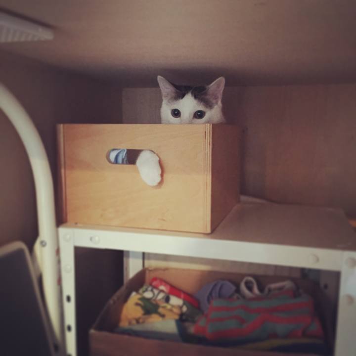 9f79b693 f78a 41eb a21d 93f8271fc791