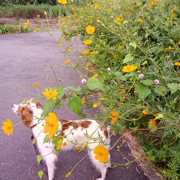 9f7ada6d c706 45be ae86 6ac234e6f53a