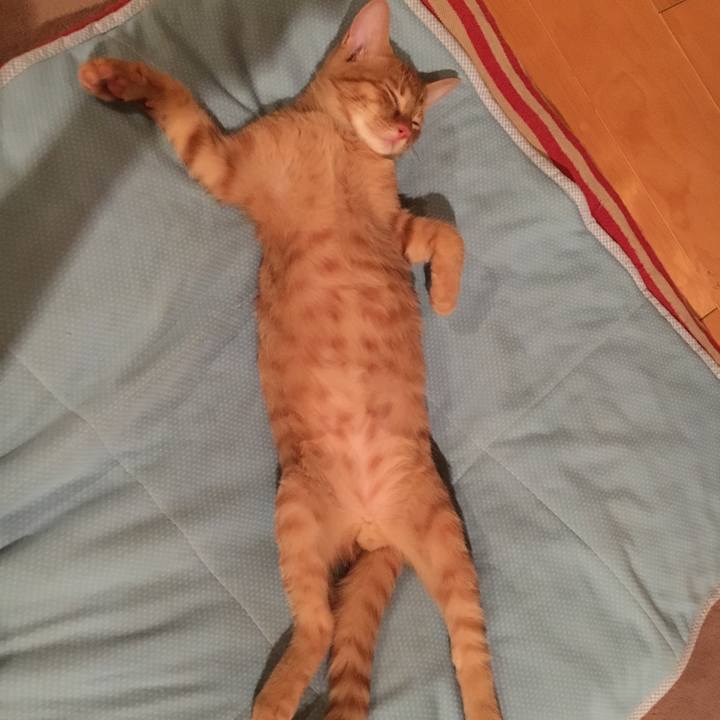 9f7b0761 4bce 4ee1 b660 354641451d76