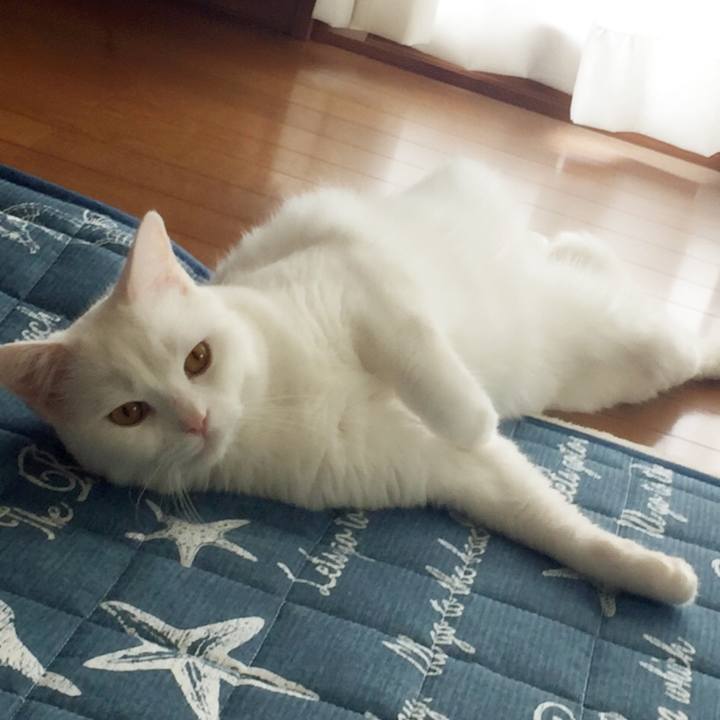 9f7b2069 ac45 4428 bec3 2b9abc6dec3b