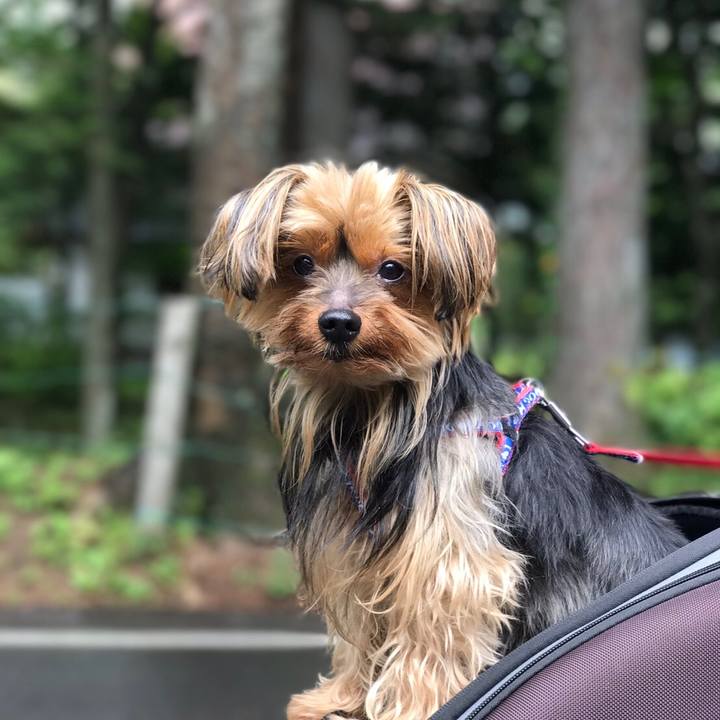 9f7b45d1 ab11 4b61 a686 6dd3bb8af9f3