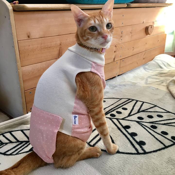 9f7b5363 619d 4d3b a753 5d0c361d79ad