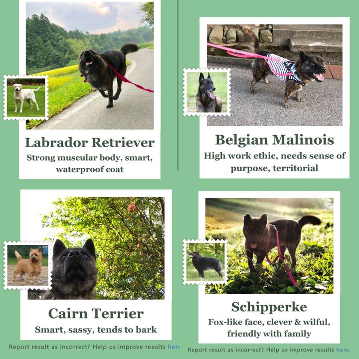 9f7cb726 f5e5 46fd 9e59 e45f39e5ede4