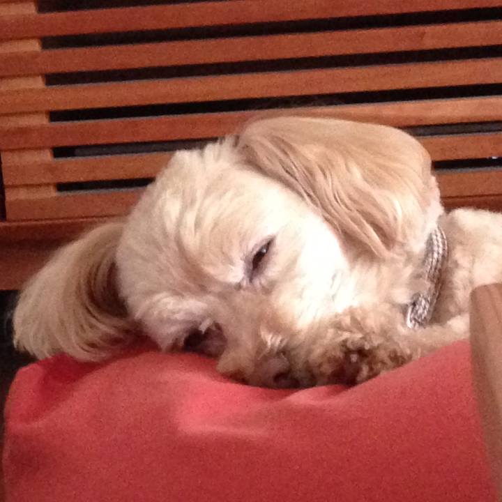 9f7d8a52 9daf 453a a115 35b410409fb8