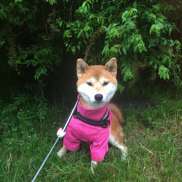 9f7db5f5 5761 42d2 bfee 72d83ebf8ded