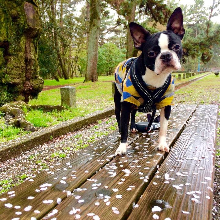 9f7e18f5 ce37 4c90 b24d b6d0c02910c2