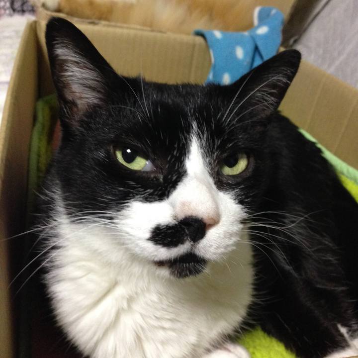 9f7f4900 0b44 488b a965 911175dbcdc0