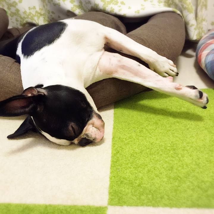 9f7f5392 cd3a 4ca0 a130 d8d3f81423b6