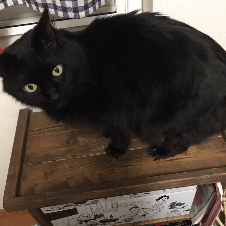 9f805a97 9ff1 40a4 977b 7907cff8f680