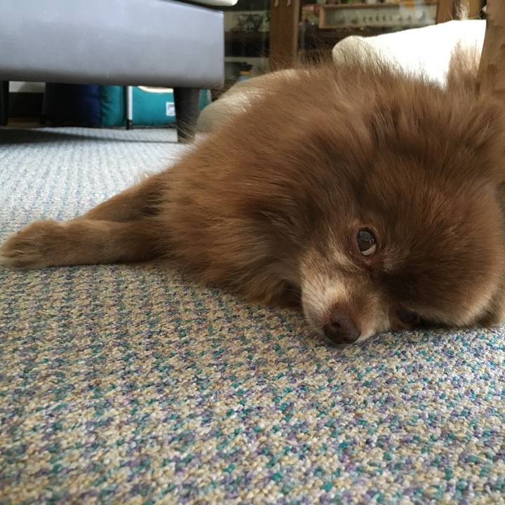 9f817177 3176 4490 96f2 2027522a96de