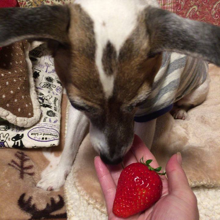 9f819b9e ce48 46ac 904f b4e8b2a05361