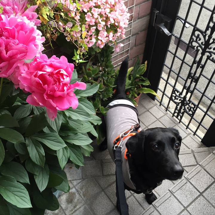 9f81b04a cd30 4c57 9e37 e9eabcd6c04a