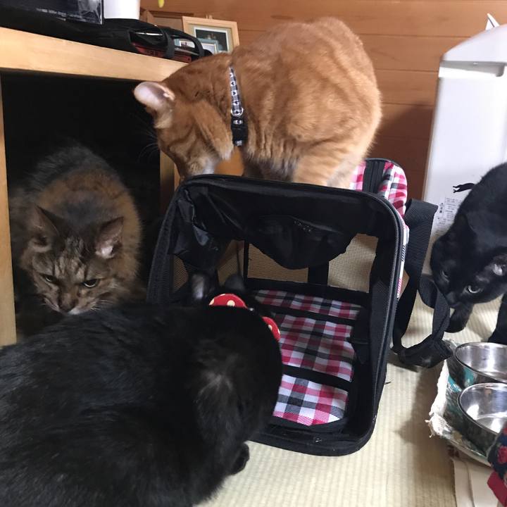 9f81ddc0 8806 45f7 a52b c9a1669f3da4