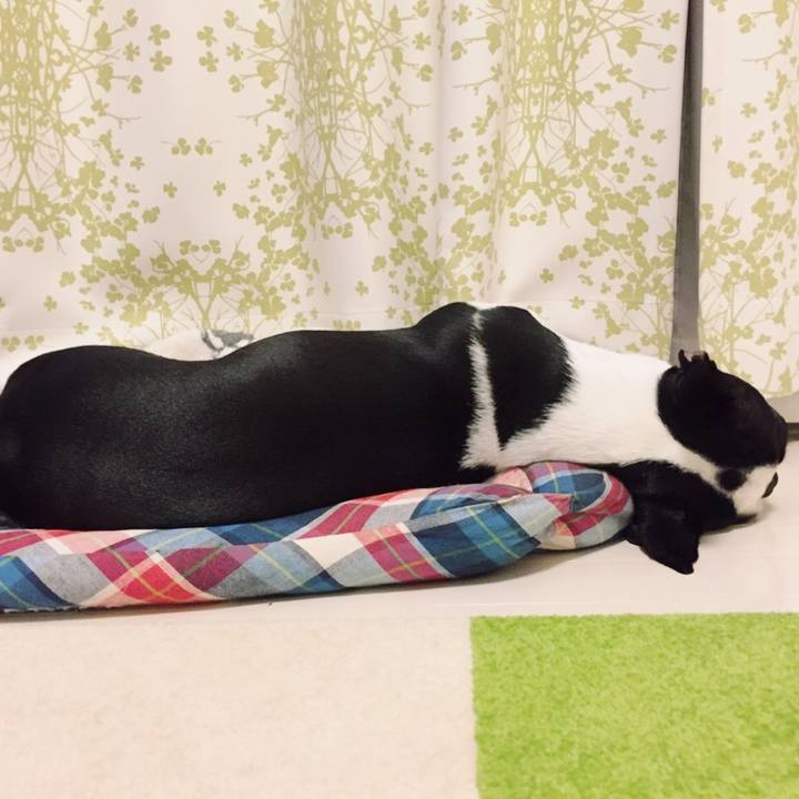 9f81e26c 15f3 4a85 bf36 187b4223874d