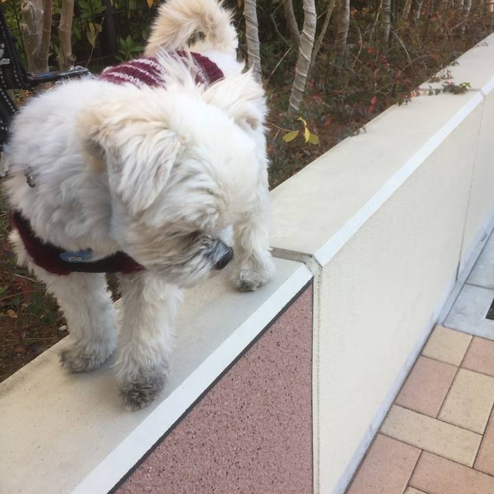 9f81f3ac 5b1f 4342 ba77 63ee511ae63d