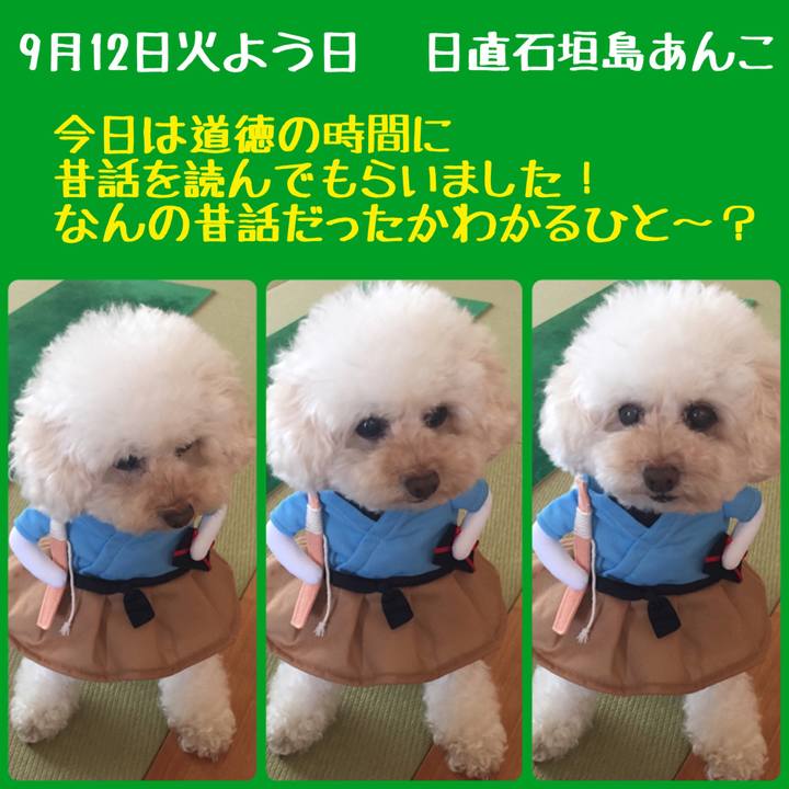 9f83712f 0300 4635 821d 215a1e6e02f9