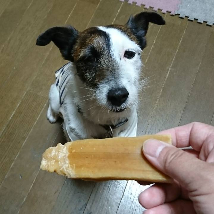 9f83a530 895c 4b76 b6f9 719613dff4ff