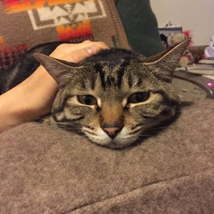 9f83e30a 9c68 4387 8c3d c1b6bc4b0e5e