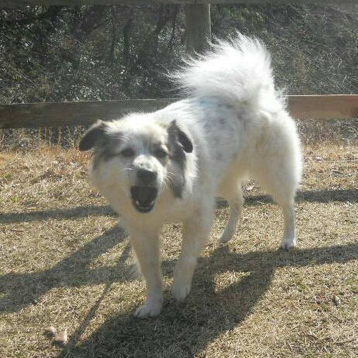 9f840eda 99d8 41ef aff7 5296a0f75c4b