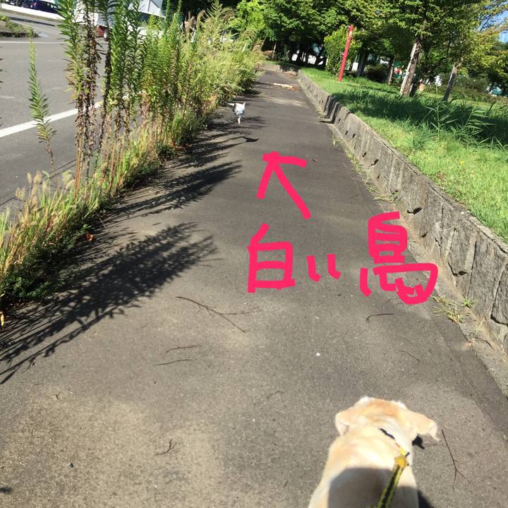 9f8428a2 e0a3 4ecb a072 cadcf5385175