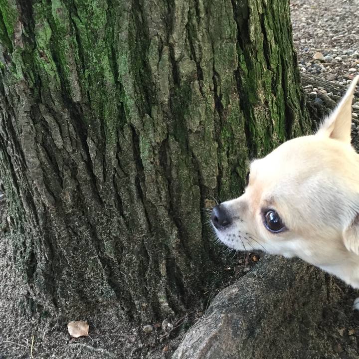 9f846acf ceda 4fe5 bb23 c9577b1650a8