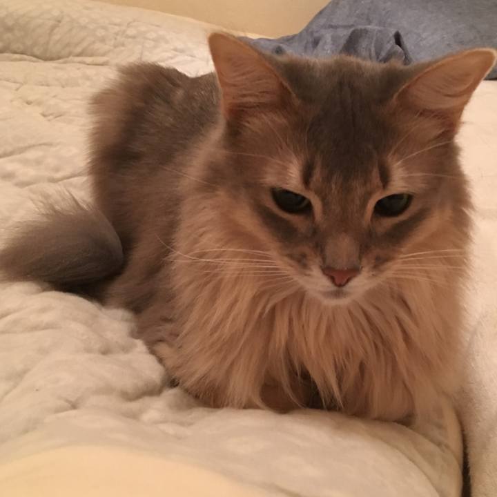 9f847054 072d 4dc1 9292 044673ee0390