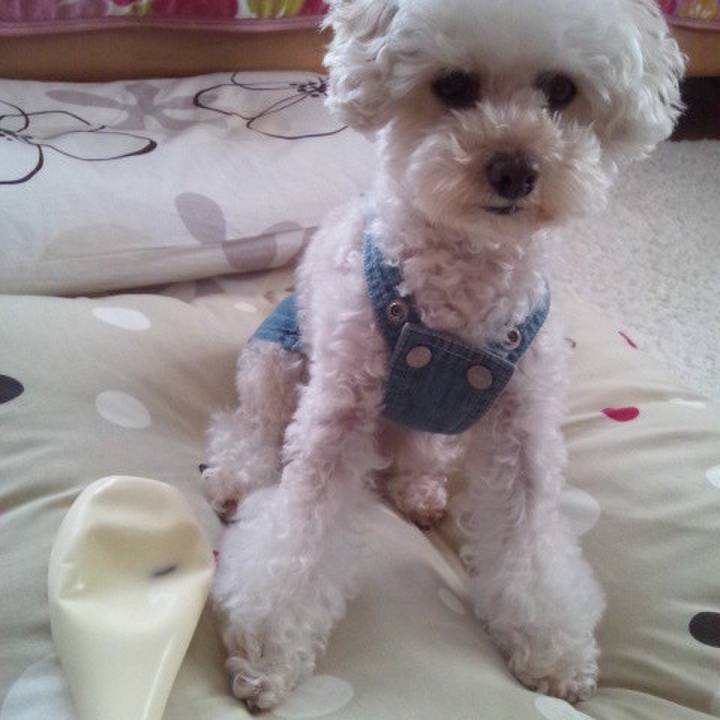 9f84d1ca 0f3a 4071 b875 7ecde8345d62