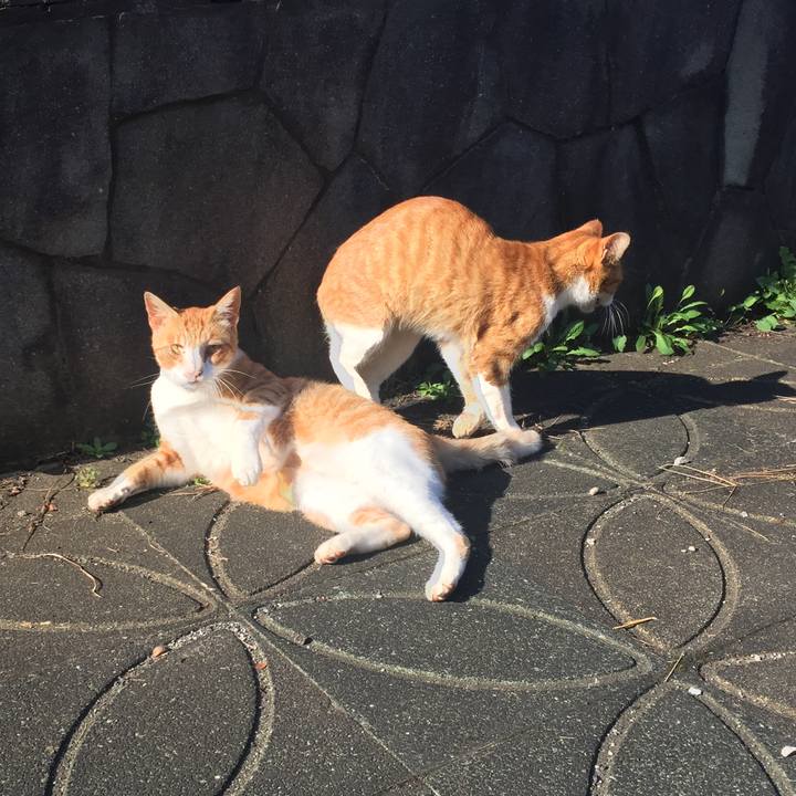 9f8618b3 ab88 42aa 960c 654243bd53c9