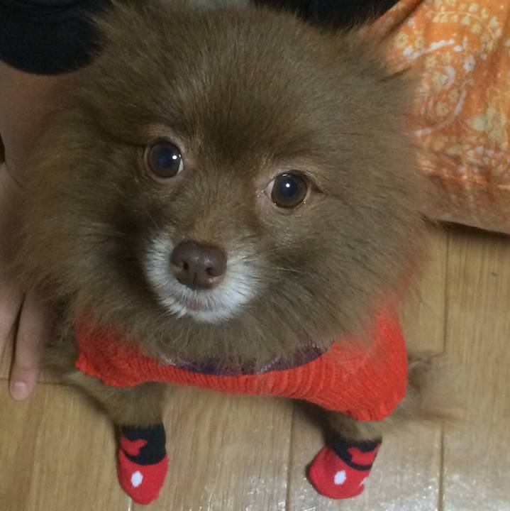 9f862933 11de 4ed8 9ea7 db3604484480