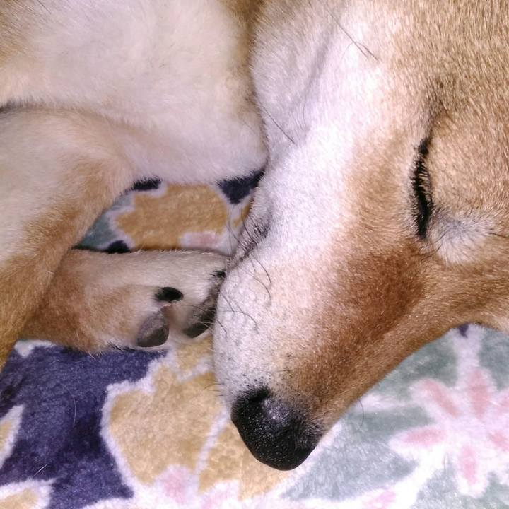 9f862ea4 185c 460a 8e06 9d73804a5573