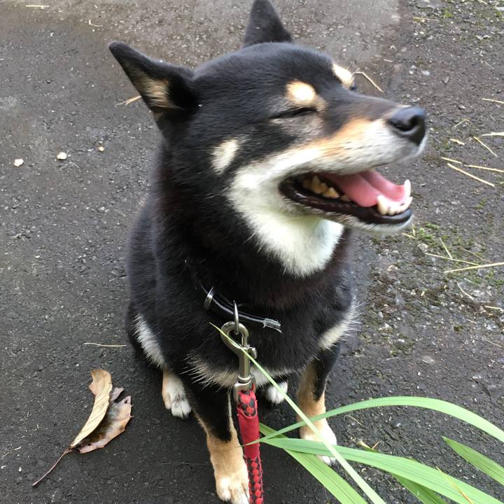 9f86f41c 7972 485c add9 3ed91abe3cec