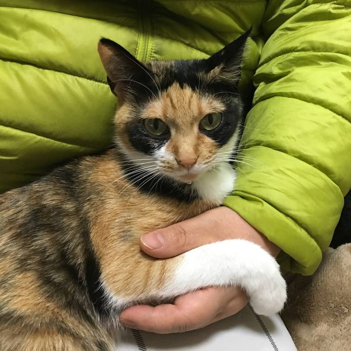 9f886032 bddf 4415 8242 38e4c302aef9