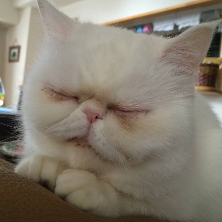 9f88bc05 838f 4548 baa2 70bba72bc9a6