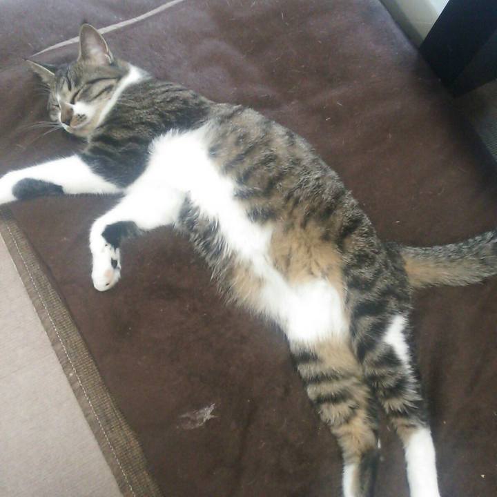 9f88e2c1 e9fe 4b06 8166 cdcdd4a78ae5